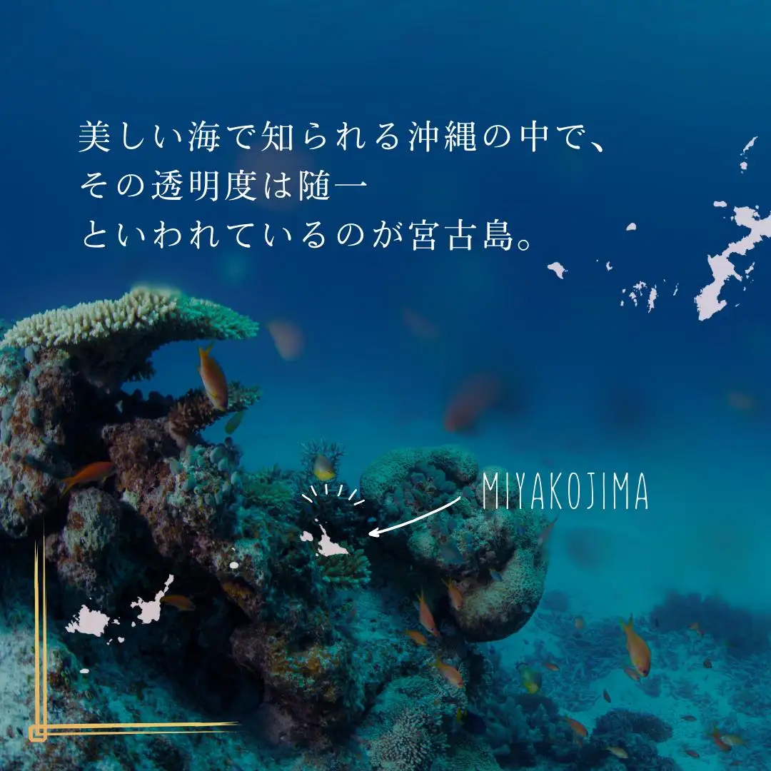【9個セット】宮古島の雪塩詰め合わせ（B132）