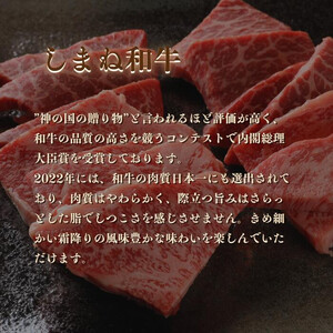 ほろっと しまね和牛 ほほ肉シチュー 2食セット