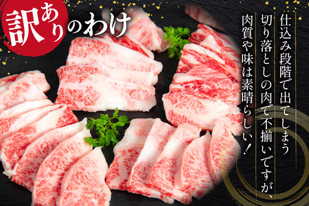 訳あり 黒毛和牛 仙台牛 切り落とし A5クラス 500g [マトン牧場 宮城県 気仙沼市 20565955]
