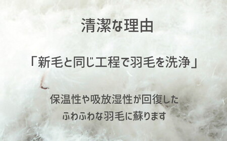 ザ・羽毛ふとん/立体キルト 布団 睡眠 寝具 ふとん【251-000376-20】【16.5-1】