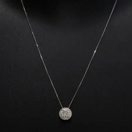 プラチナ1カラットアップダイヤモンドペンダント【45cm】　1本【配送不可地域：沖縄県】【1491347】
