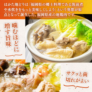 水炊き はかた地どり 3～4人前 セット 水炊き [um40azp010032]