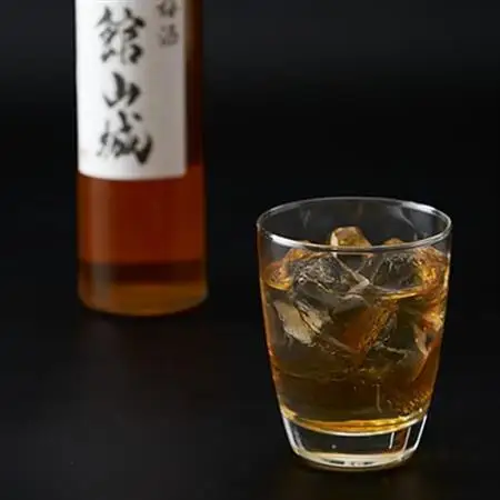 梅酒　館山城(アルコール度数 20度)　500ml×1本【1486742】