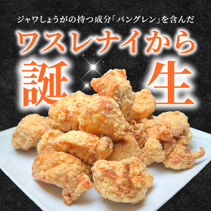 【からあげ聖林】SDGsからあげ「ワスレナイから」ジャワしょうが入り（40個） _KH5306