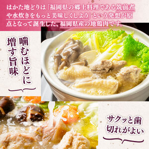 水炊き はかた地どり 美人 コラーゲン付 2～3人前 セット 水炊き [um40azp010033]