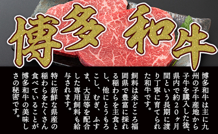 牛肉 モモ ステーキ A4～A5 博多和牛 100g 5p 牛肉 [um40azp010036]