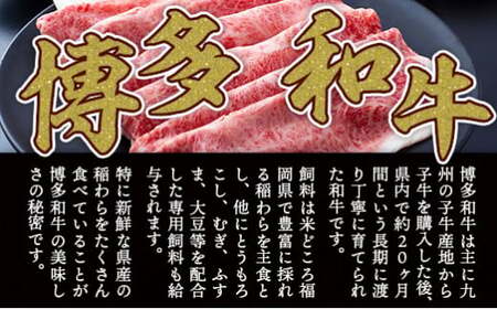 牛肉 すき焼き A4～A5 博多和牛 肩ロース 600g 牛肉 [um40azp010039]