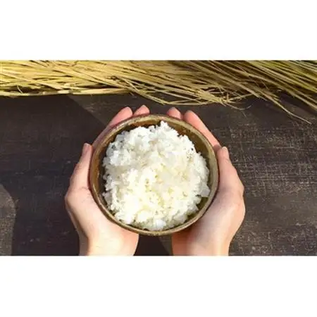 あわ焼　ごはん茶碗　2客セット【1486729】