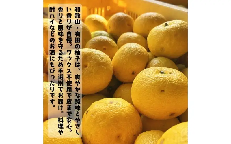 【先行予約】【国産】紀州和歌山のご家庭用訳あり 柚子（ゆず）3kg+200g(痛み補償分)　※2026年10月下旬～2027年1月下旬頃に順次発送 ※着日指定不可【ard153B】