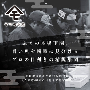 ふぐ刺身 6人前 冷凍 ふぐ  FR