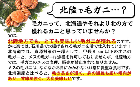 【訳あり】蟹好き集まれ！選べる北陸産毛ガニ 甲羅盛Cセット【70,000円コース】[G-096009_03] / 甲羅盛り