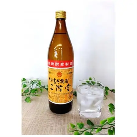 大分むぎ焼酎　二階堂3本と速津媛3本25度(900ml)6本セット_大分むぎ焼酎 二階堂 麦焼酎 焼酎 酒 酒セット 焼酎セット  まとめ買い 飲み比べ_【1494107】