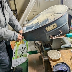 【令和7年産】湘南生まれ南足柄育ちのブランド米「はるみ」(玄米) 5kg 創業100年の米屋がお届け【特A ギフト プレゼント 贈り物 返礼 御礼 おいしい 】【 ごはん おいしい 神奈川県 南足柄市 】