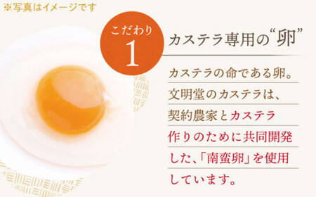 【全3回定期便】「こだわりの逸品」長崎 カステラ  [1.2号] 計6本（0.6号10切入×2本入/回）【文明堂総本店】[QAU020]