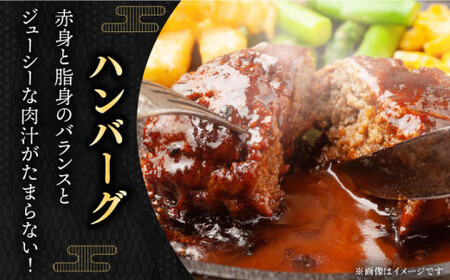 長崎 和牛 ハンバーグ 20個入 (各200g) 和牛 ハンバーグ 和牛【黒牛】[QBD021]