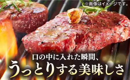 【全2回定期便】極上 壱岐牛 A5ランク ヒレステーキ 200g（雌）《壱岐市》【KRAZY MEAT】 ヒレ ステーキ ヘレ フィレ 赤身 A5 赤身 希少部位 シャトーブリアン 焼肉[JER084] 九州