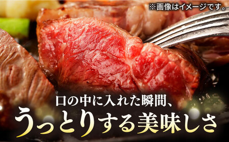 【全2回定期便】極上 壱岐牛 A5ランク 希少部位 赤身ステーキ 200g×2枚（雌）部位おまかせ 《壱岐市》【KRAZY MEAT】 ステーキ 赤身 希少部位 牛肉 肉 焼肉 A5[JER087] 九州