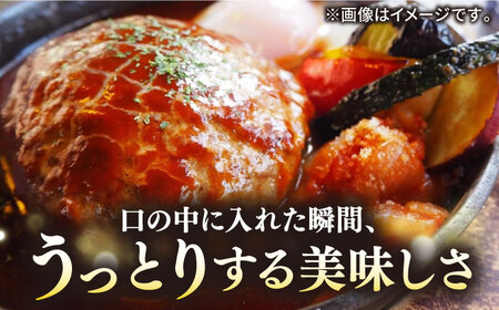 【全2回定期便】壱岐牛 A5ランク 牛ミンチ 約500g×6 [JER090]ミンチ