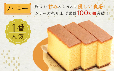 カステラ ざんまい 5枚カット×2箱 (ハニー×2)【菓秀苑 森長】[QBL005] 長崎カステラ おやつ 九州 長崎 佐々町 ふるさと納税 おすすめ