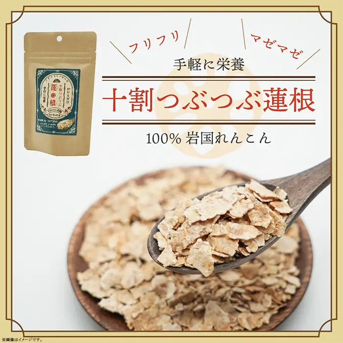 FRoots Selection 本当においしい！岩国れんこんづくし【FRoots】