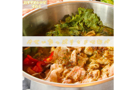 カレー鍋のつゆ 2人前 500g×1 スパイス付 [キヨトク 福岡県 筑紫野市 21760716]