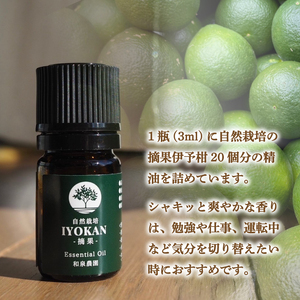 いよかん 精油3ml &アロマウッドセット 『 IYOKAN-摘果- 』| 伊予柑 精油 いよかん 精油 アロマオイル 精油 エッセンシャルオイル アロマウッド アロマ 精油 愛媛県 松山市 和泉農園【IZ1001】
