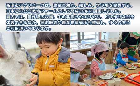 農業体験付き宿泊プラン（大人2名様・小人2名様） 体験チケット チケット 