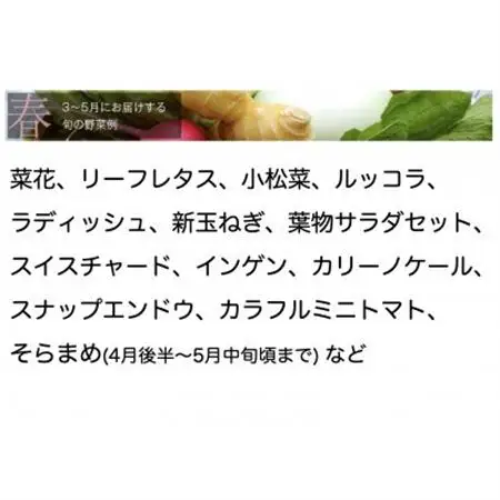 【毎月定期便】【下旬発送】こだわりの旬野菜BOX「リエビン」季節の野菜セット全6回【配送不可地域：離島・沖縄県】【4012344】