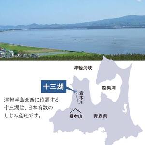 青森県 十三湖産 冷凍しじみ （中粒） 約1.2kg 【小野や】 F6N-093