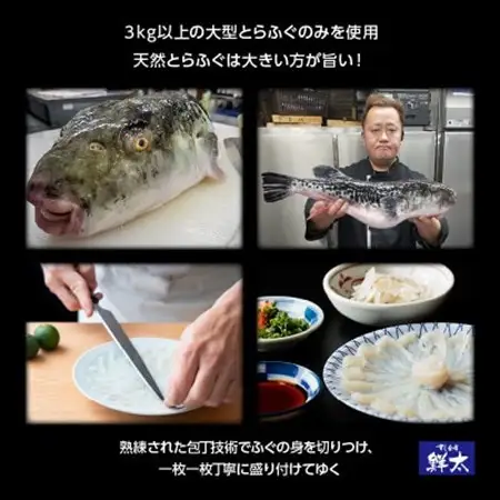 遠州灘天然とらふぐ刺身【冷凍】約1人前(1人盛り×1皿)手作りポン酢付き_魚介・海産物 ふぐ 鮮魚 フグ 河豚_【配送不可地域：離島】【1474962】