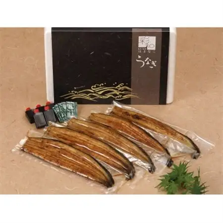 【国産】浜名湖うなぎ蒲焼き140g以上　5本セット(たれ・山椒付き)_うなぎ 鰻 蒲焼 浜名湖産 国産_【配送不可地域：離島】【1487457】