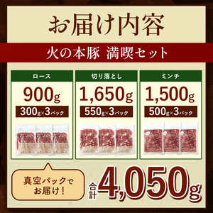 【定期便6回】火の本豚 満喫セット（ ロース 切り落とし ミンチ ） 4050g 豚肉