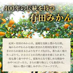 ゆら早生みかん 5kg（2S～Lサイズ） ※2026年11月上旬～12月上旬に順次発送予定 【tkn004-r-5B】