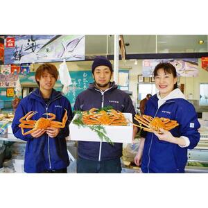 【先行予約】（訳あり）松葉ガニ（生なま）2枚【年内配送】※着日指定不可※北海道、沖縄、一部離島への配送不可