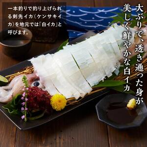 【先行予約 2026年6月以降発送】山陰直送 刺身用白イカ 700g（3～6杯）　※北海道、沖縄、一部離島への配送不可 |剣先イカ