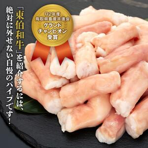 牛肉 黒毛和牛 ホルモン 丸腸(マルチョウ) 500g|ホルモン