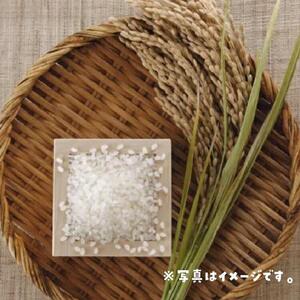 米 ミルキークイーン 令和7年産 鳥取県産 3kg|米