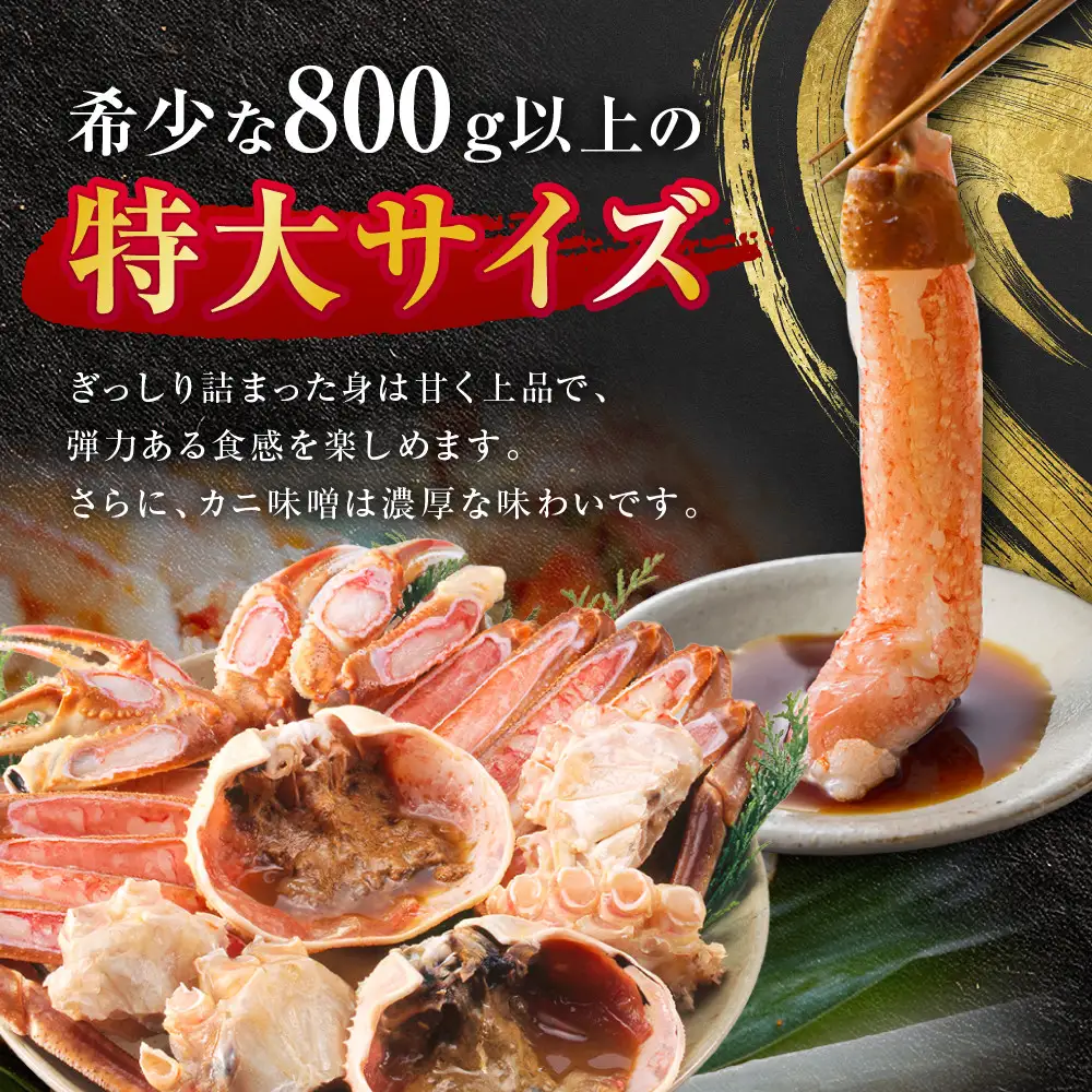 【先行予約】松葉ガニ ブランド タグ付き 生 1枚 800g 以上 年明け 配送 松葉がに