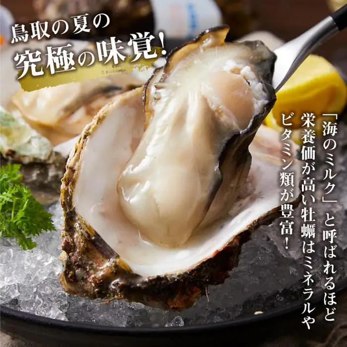 【先行予約 2026年6月以降発送】 天然 岩ガキ ( 夏輝 ) 7 枚 岩ガキ