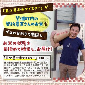 【定期便】3kg×6ヶ月　五ツ星お米マイスター特選米（鳥取県産）