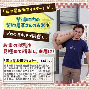 【定期便】5kg×12ヶ月　五ツ星お米マイスター特選米（鳥取県産）