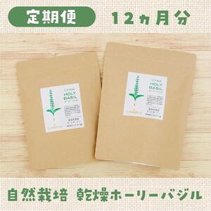 【定期便】自然栽培 ハーブティー ホーリーバジル 200本×6回（約12ヶ月分）※隔月配送|ハーブティー