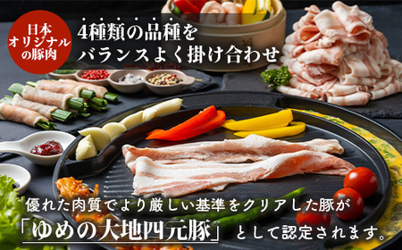 【北海道ブランド豚】「ゆめの大地」 バラエティセット（ロース200g×5P・バラ200g×5P）【27009】