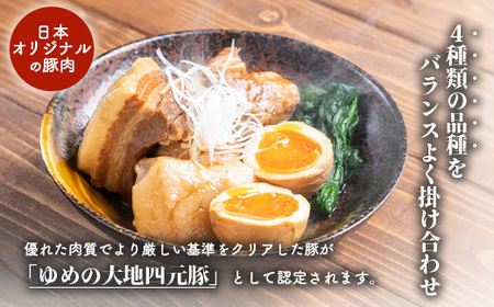【北海道ブランド豚】「ゆめの大地」 豚バラブロック 1kg【27008】
