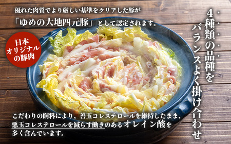 【北海道ブランド豚】「ゆめの大地」 豚バラスライス 200g×10パック【27005】