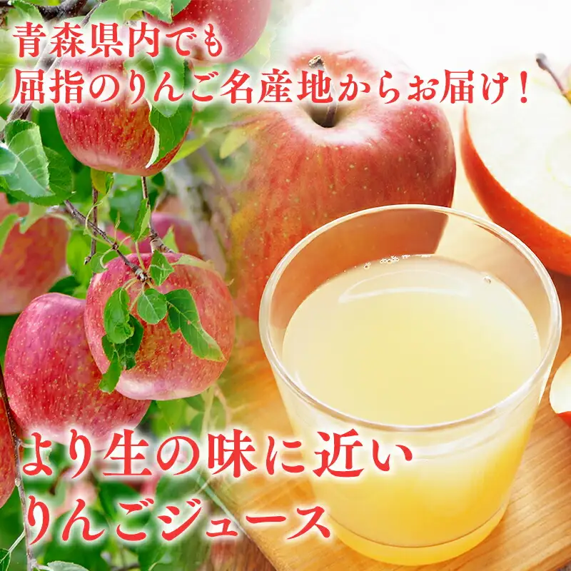 【レビューキャンペーン】青森県産りんごジュース 1L×6本 広船アップルクラブ[hi-0004-001]