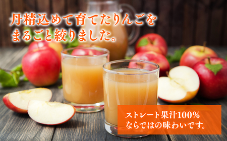 【レビューキャンペーン】青森県産りんごジュース 1L×3本 那由多のりんご園[hi-0005-001]