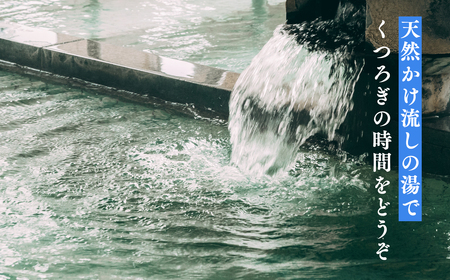 【レビューキャンペーン】大坊温泉 入浴券12枚綴り1冊　【 チケット 温泉利用券 癒し リラックス ストレス 源泉かけ流し 湯舟 透明 風邪引かず 評判 サウナ 入浴 】[hi-0037-001]