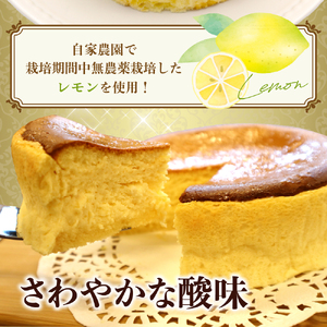 洋菓子素材工房ぴゅあハウス 冷凍チーズケーキ 約15cm （5号）ケーキ ホールケーキ スイーツ デザート お菓子 洋菓子 ご褒美 誕生日 お取り寄せ グルメ 送料無料 洋菓子素材工房ぴゅあハウス 広島県 呉市 ku156-001-r