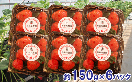 【先行予約】鳥取県産 いちご　約150g×6パック【イチゴ 苺 フルーツ 果物 6パック かおりの かおり野 ベリーすず はるひ おまかせ お楽しみ 減農薬栽培 季節限定 先行予約】